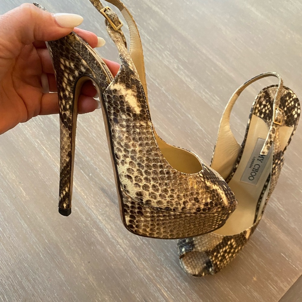 Jimmy Shoe Snake Skin shoes